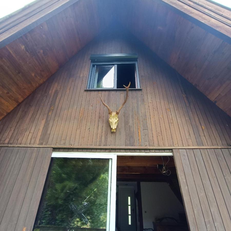Chalet- Vallee De Luchon - Vallee De La Pique Cierp Exterior foto